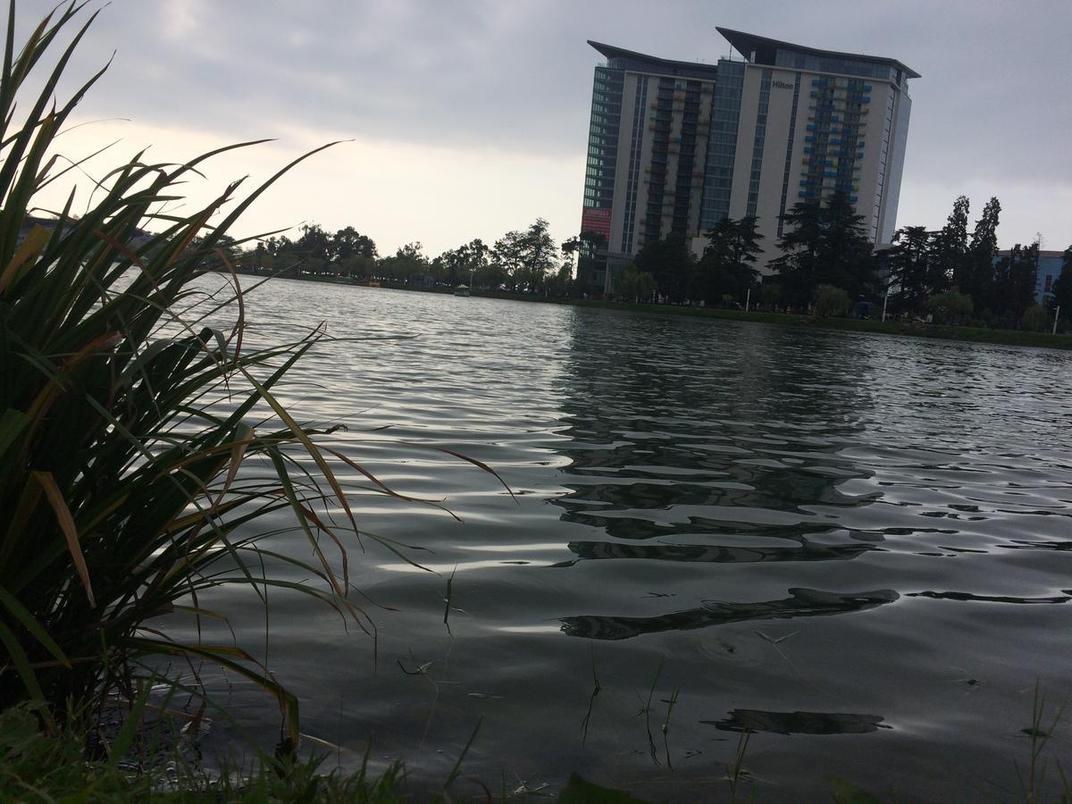 Cocorina Apartment باتومي المظهر الخارجي الصورة