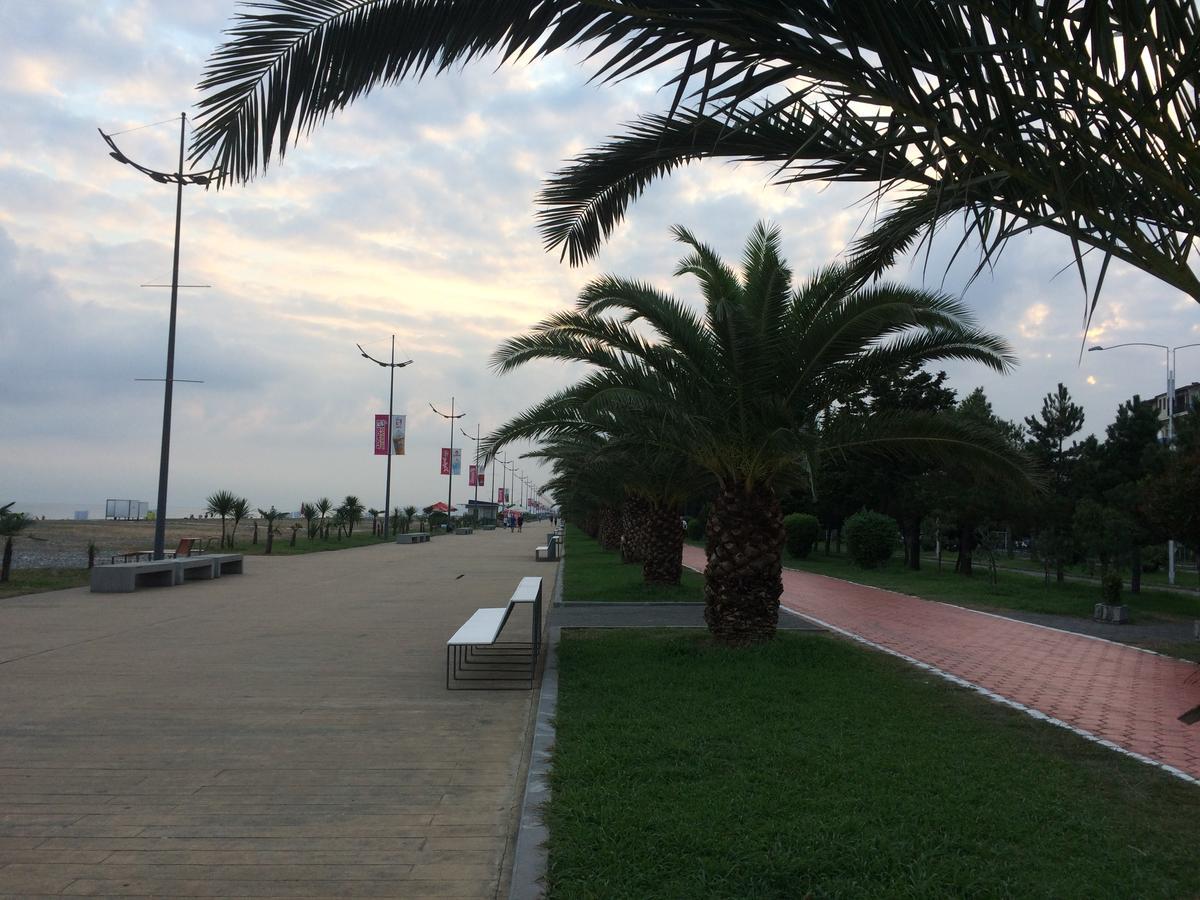 Cocorina Apartment باتومي المظهر الخارجي الصورة